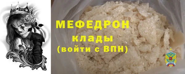 дживик Ельня