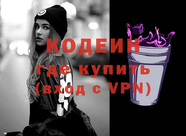 дживик Ельня