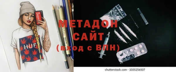 прущие грибы Елизово
