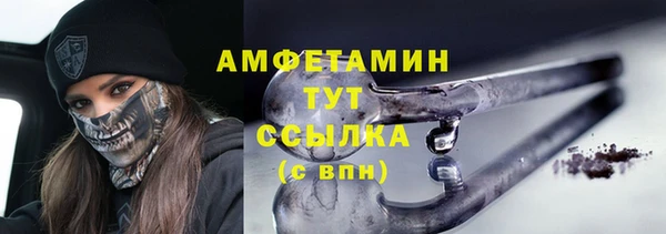 прущие грибы Елизово