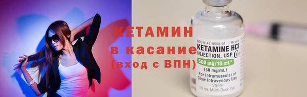 прущие грибы Елизово