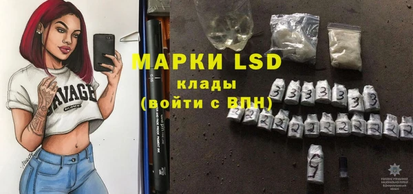 прущие грибы Елизово