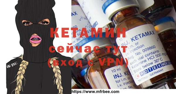 дживик Ельня