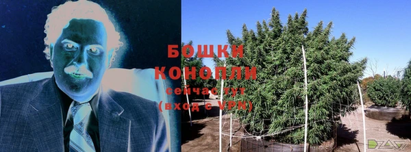 дживик Ельня
