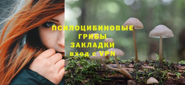 дживик Ельня
