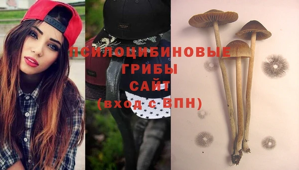 Альфа ПВП Дмитров