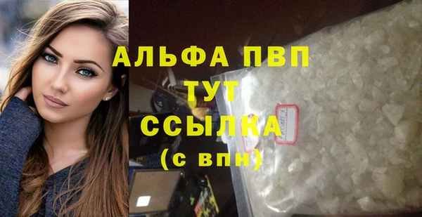 прущие грибы Елизово