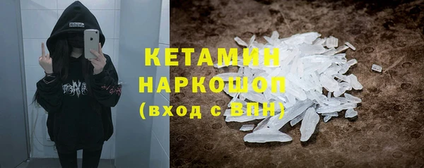 прущие грибы Елизово