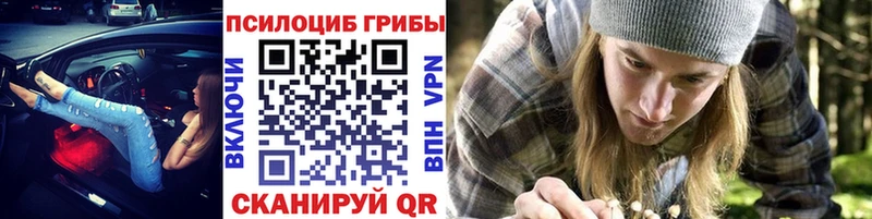 блэк спрут онион  Копейск  Галлюциногенные грибы мицелий  где купить наркотик 